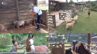 3 vezes em que os animais demonstraram carinho pelos peões