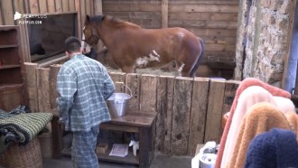 Cavalo Lyon 'rouba' a blusa de Netto: 'Achei que éramos amigos'