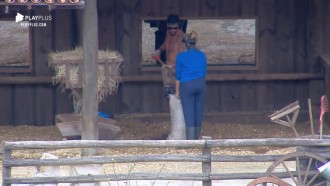 Diego ajuda Thayse a finalizar tarefa após reclamação