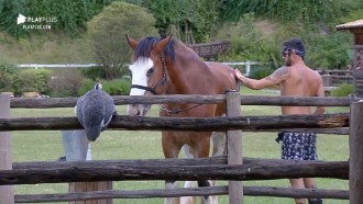 Diego Grossi cuida do cavalo Lyon