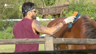 Diego Grossi cumpre tarefa e escova pelo do cavalo Lyon