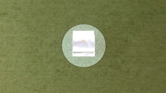 Famosos comentam Quarto Branco do BBB 23