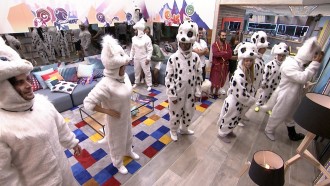 Prova do Anjo Organnact: veja os brothers vestidos de Pets