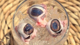 Quiz 'No Limite': Quem seria você na Prova da Comida?