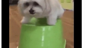 Veja os memes da primeira Prova do Líder do BBB 23