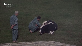 Guilherme Leão reflete sobre processo de abatimento de animais