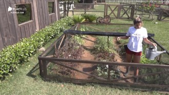 Hari Almeida executa tarefa diária cuidando da horta da sede