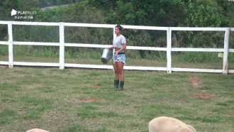 Hariany encontra sapo na área das ovelhas e fica com medo