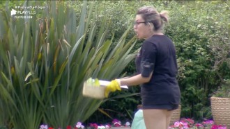 Hilário! Thayse sofre para cuidar das aves