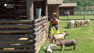 Jorge Sousa é driblado pelos porquinhos durante atividade
