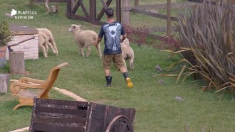 Jorge Sousa protagoniza cena engraçada ao lidar com ovelhas
