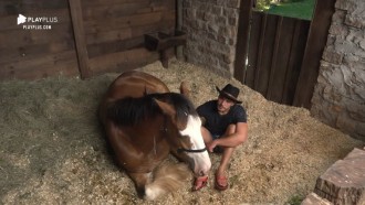 Lucas conversa com cavalo Lyon: ‘Vou sentir sua falta’