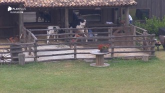 Lucas diz que atitudes de Phavanello fez ele voltar da Roça