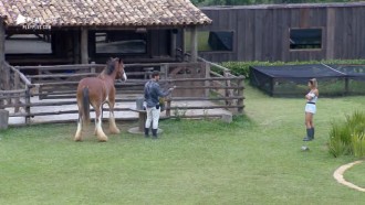 Lucas Viana ensina Hari Almeida a cuidar do cavalo Lyon