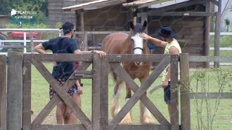 Na reta final de 'A Fazenda', peões se despedem dos animais