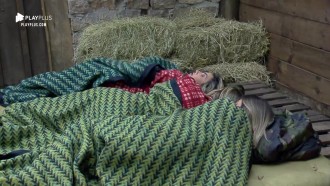 Peoas se assustam com pássaro na baia: ‘É um morcego’, diz Thayse