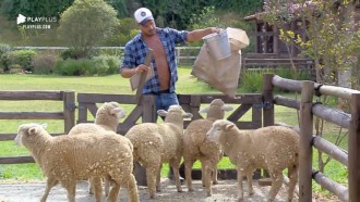 Phavanello cuida de ovelhas e Sabrina tira água do poço