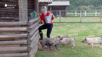 Porcos atacam Andrea e peoa surta: 'Netto, vem me ajudar'