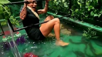 Power Couple 7 vira No Limite e solta cobras, enguias e baratas nas mulheres