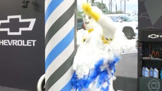 Prova do Finalista BBB 24: dinâmica de resistência vai levar participante direto para a final; acompanhe