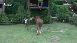 Sabrina Paiva brinca com Lyon e dá 'buquê de grama' para o cavalo