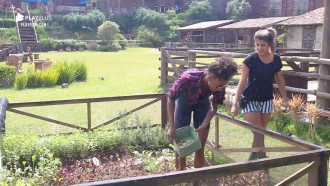 Sabrina Paiva e Hari Almeida cuidam da horta da sede