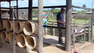 Sabrina Paiva e Rodrigo Phavanello cuidam do galinheiro da sede