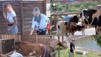 Veja 5 momentos em que os peões passaram apuros com os animais