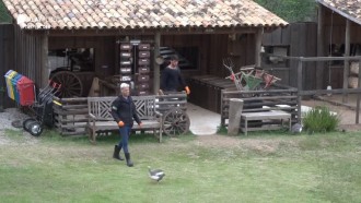 Viny planeja pegar rapadura do cavalo Lyon para adoçar café