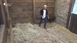 Viny Vieira acorda cedo para arrumar baia do cavalo Lyon