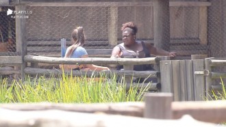 Jojo desabafa sobre Raissa - A Fazenda 12