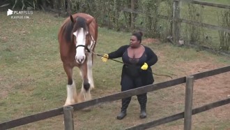Jojo Todynho parabeniza Lyon - A Fazenda 12