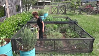 Lidi cuida da horta - A Fazenda 12