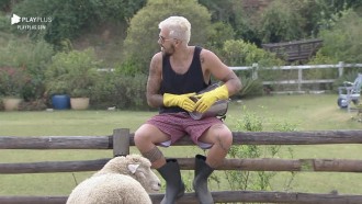 Lipe canta para ovelha - A Fazenda 12