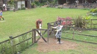 Lucas conversa com Lyon - A Fazenda 12