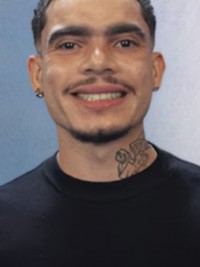 Vivão