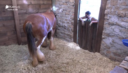 Ao cuidar e alimentar Lyon, Diego Grossi fica pensativo
