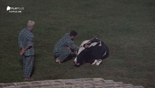 Guilherme Leão reflete sobre processo de abatimento de animais