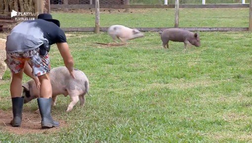 Lucas Viana limpa excesso de sujeira no chiqueiro da sede