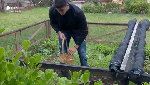 Netto acorda cedo e enfrenta frio para cuidar da horta da sede