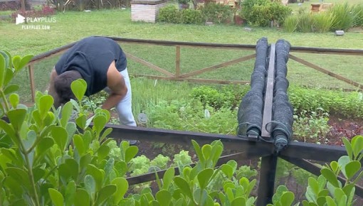 Netto acorda cedo para cuidar da horta da sede