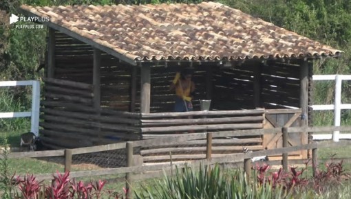 Jakelyne cuida das cabras - A Fazenda 12