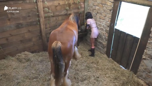 Jakelyne cuida do cavalo Lyon - A Fazenda 12