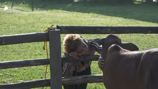 Lidi cumprimenta Priscilo - A Fazenda 12