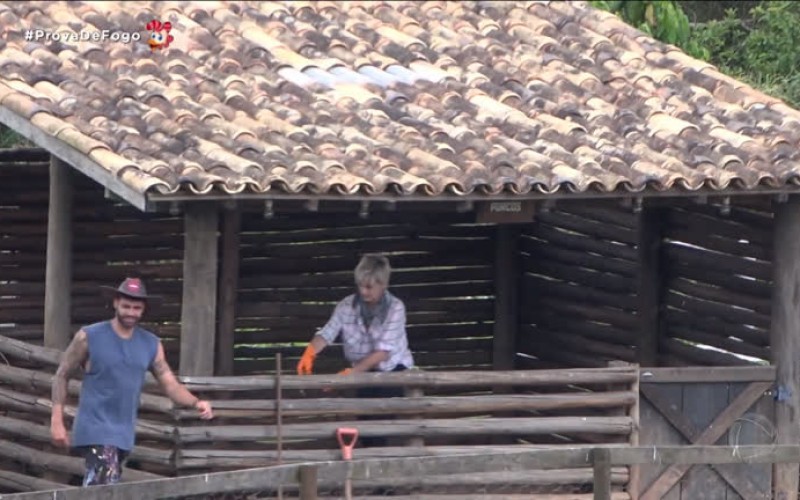 Andréa sofre com os porquinhos, e Thayse reclama