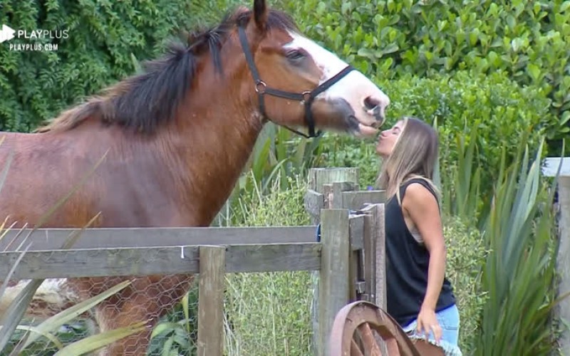 Carinhosa, Hari Almeida 