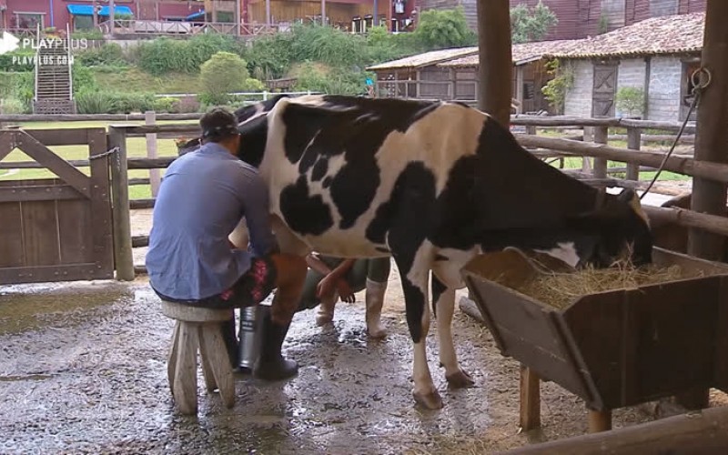 Diego ajuda Sabrina a realizar tarefa na sede