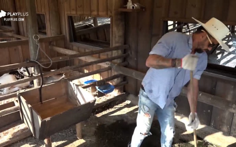 Diego Grossi acorda cedo para cuidar do curral da vaca