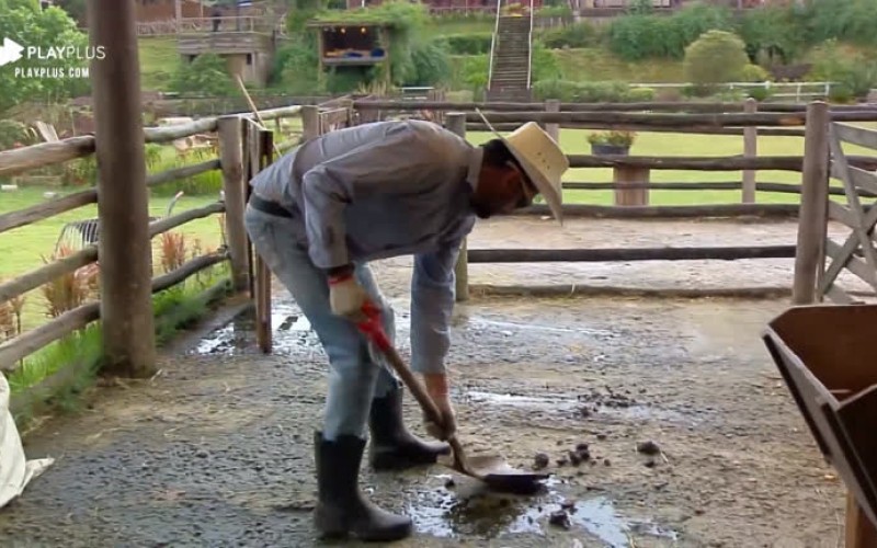 Diego Grossi acorda cedo para limpar curral da sede