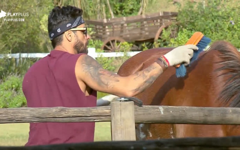 Diego Grossi cumpre tarefa e escova pelo do cavalo Lyon